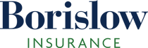 Borislow Insurance