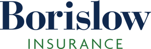 Borislow Insurance Logo