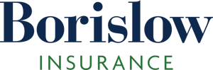 Borislow Insurance Logo Borislow Insurance Logo