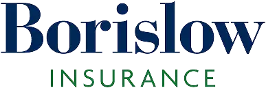 Borislow Insurance