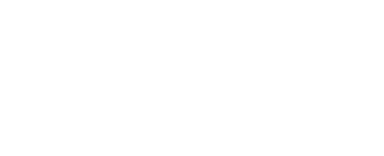Borislow Insurance